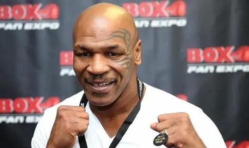 泰森最新爆料,不为人知的背后故事与惊人爆料